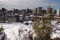 Tokyo Guest House 2020 외부 사진